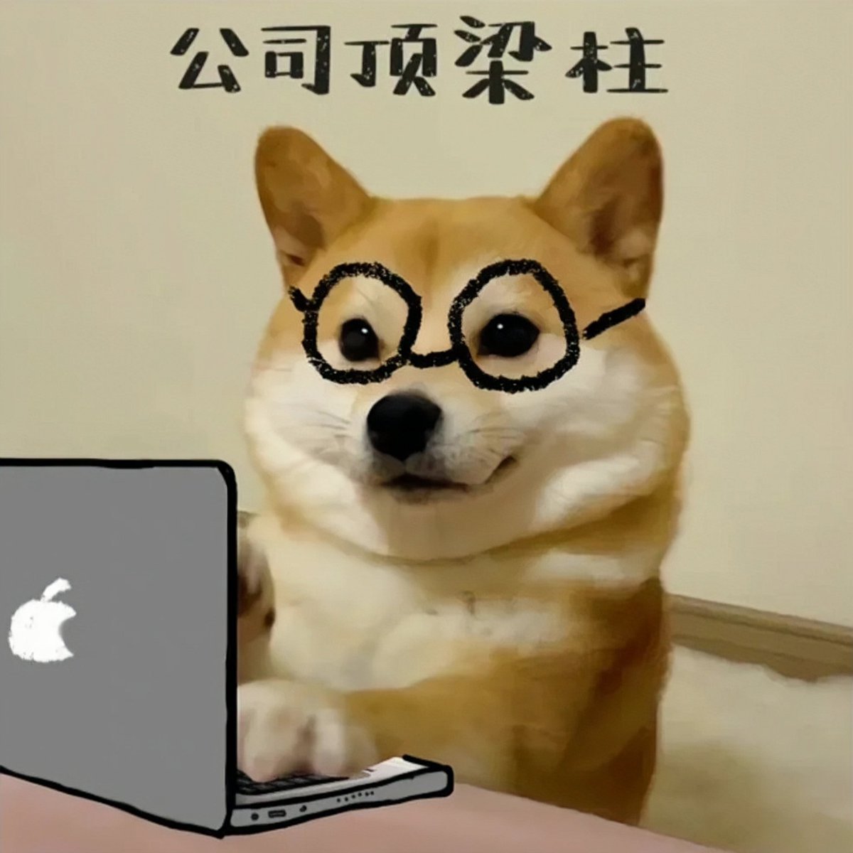 公司顶梁柱（自封版