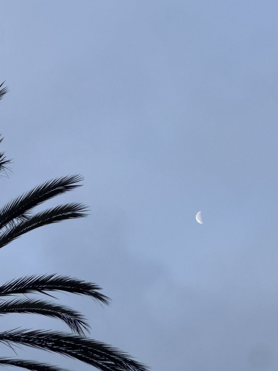 Emily ™ tweet media