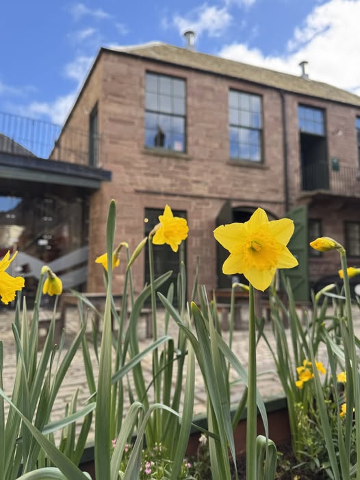 Spring has sprung, and Dundee's in full
bloom!

From HMS Unicorn's brand-new medicinal garden to Verdant Works International Garden Photographer exhibition, there's plenty to discover in Dundee. 

See what’s on at dundee.com.