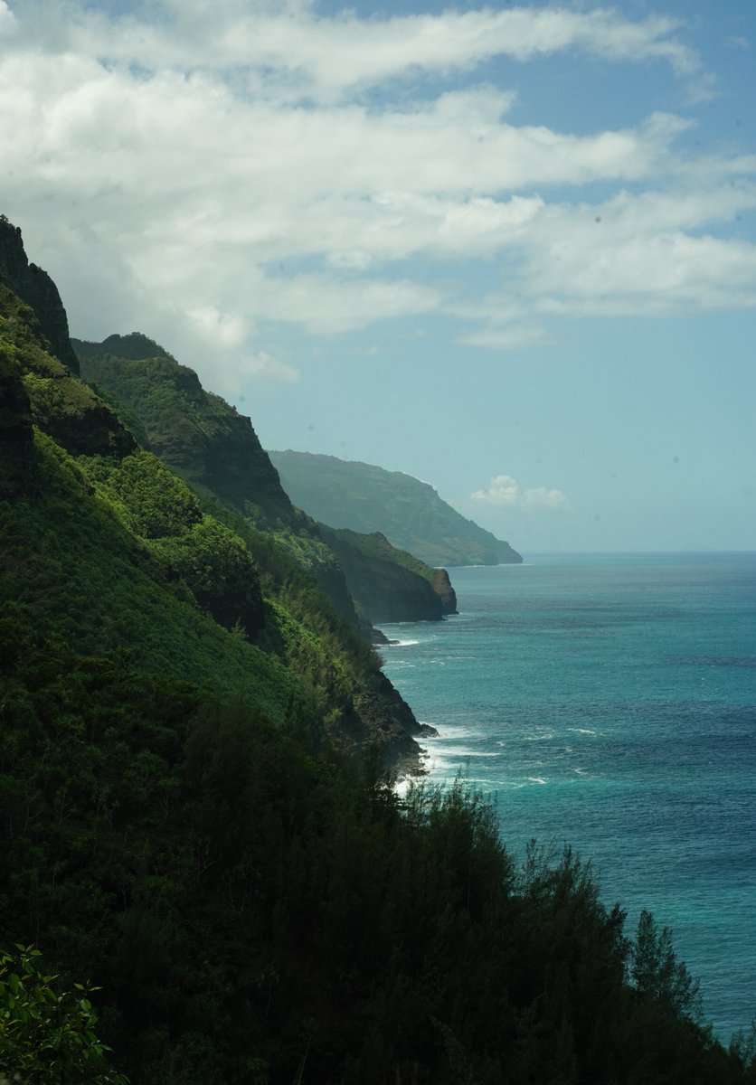 Matthew Daddario tweet media