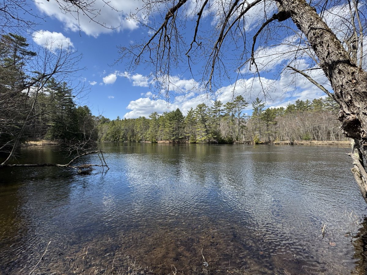 Moved again for the 4th time in 10 years. Keep getting more remote. This is the new view from the backyard. 🏔🎣🐟