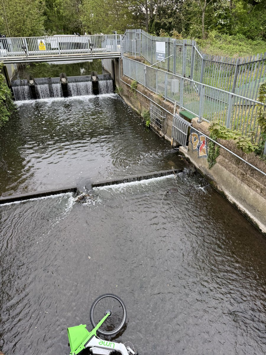 JamieWoodMedia's tweet photo. Hi @LBRuT_Help @LBRUT someone has dumped a Lime bike in the Crane at Kneller gardens. @KnellerGardens https://t.co/CerxL45sr0