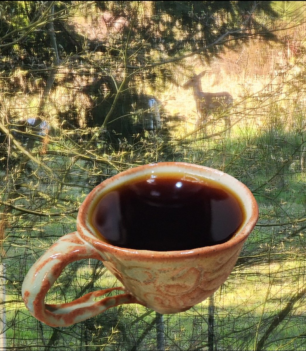 🫐 BlueBerry Sasquatch👣 tweet media