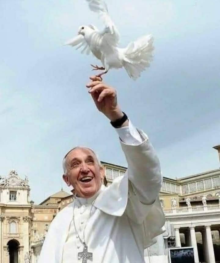#pape chacune et chacun,  croyant-e ou non, a une opinion sur le Pape François qui vient de mourir. Mais reconnaissons qu’il a fait avancer des causes…pas toutes,  mais il a su séduire au delà des catholiques .