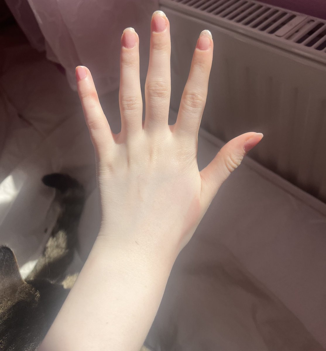V7451_'s tweet photo. @I_LoveHina @bestofpolhumor @Ui_Chan_Lover ??? I have xx chromosomes is that enough proof? Does my hand look masculine to you? https://t.co/tbNQZtQrbO