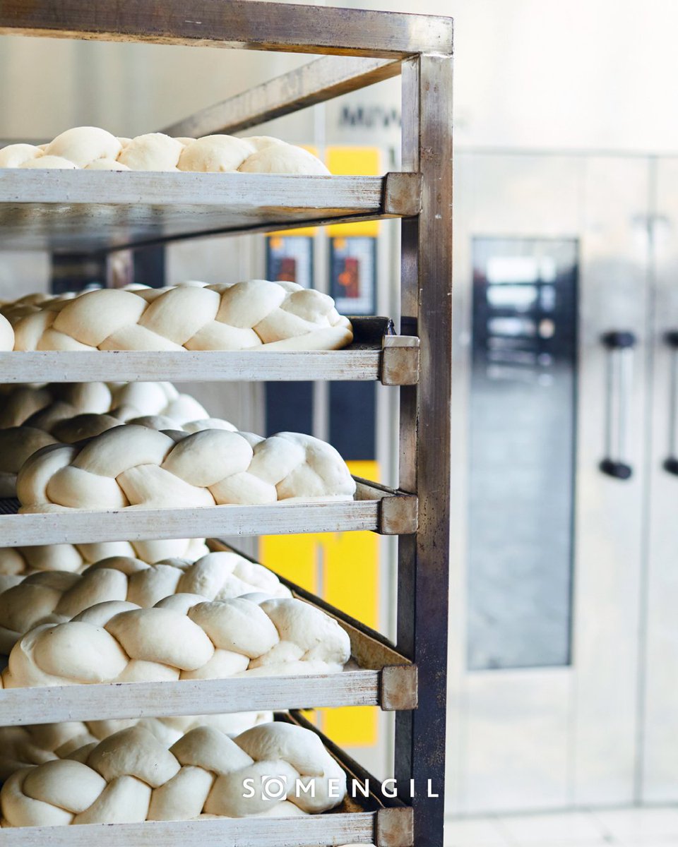 Manual tray washing is a job that nobody looks forward to. Discover the advantages of an industrial tray washer and how to choose the right one.
EN ow.ly/s0Eg50VEMQr
PT ow.ly/lEBa50VEMQs
ES ow.ly/agJM50VEMQp
FR ow.ly/LnPm50VEMQq
DE ow.ly/n05T50VEMQo