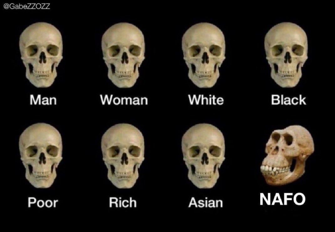 Makes sense now