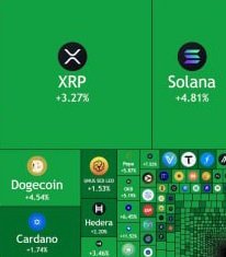 Allen Pumper tweet media