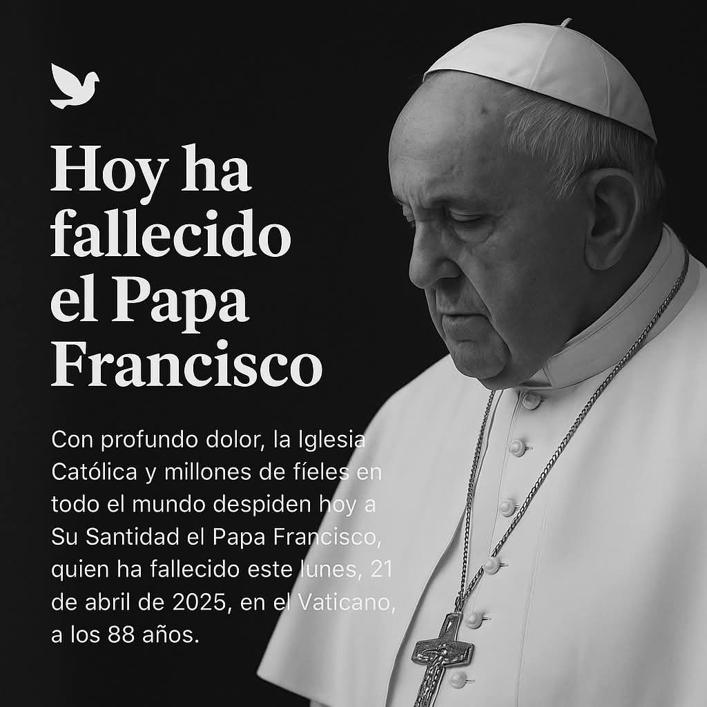 La Salle Maó (@lasallemao) on Twitter photo 