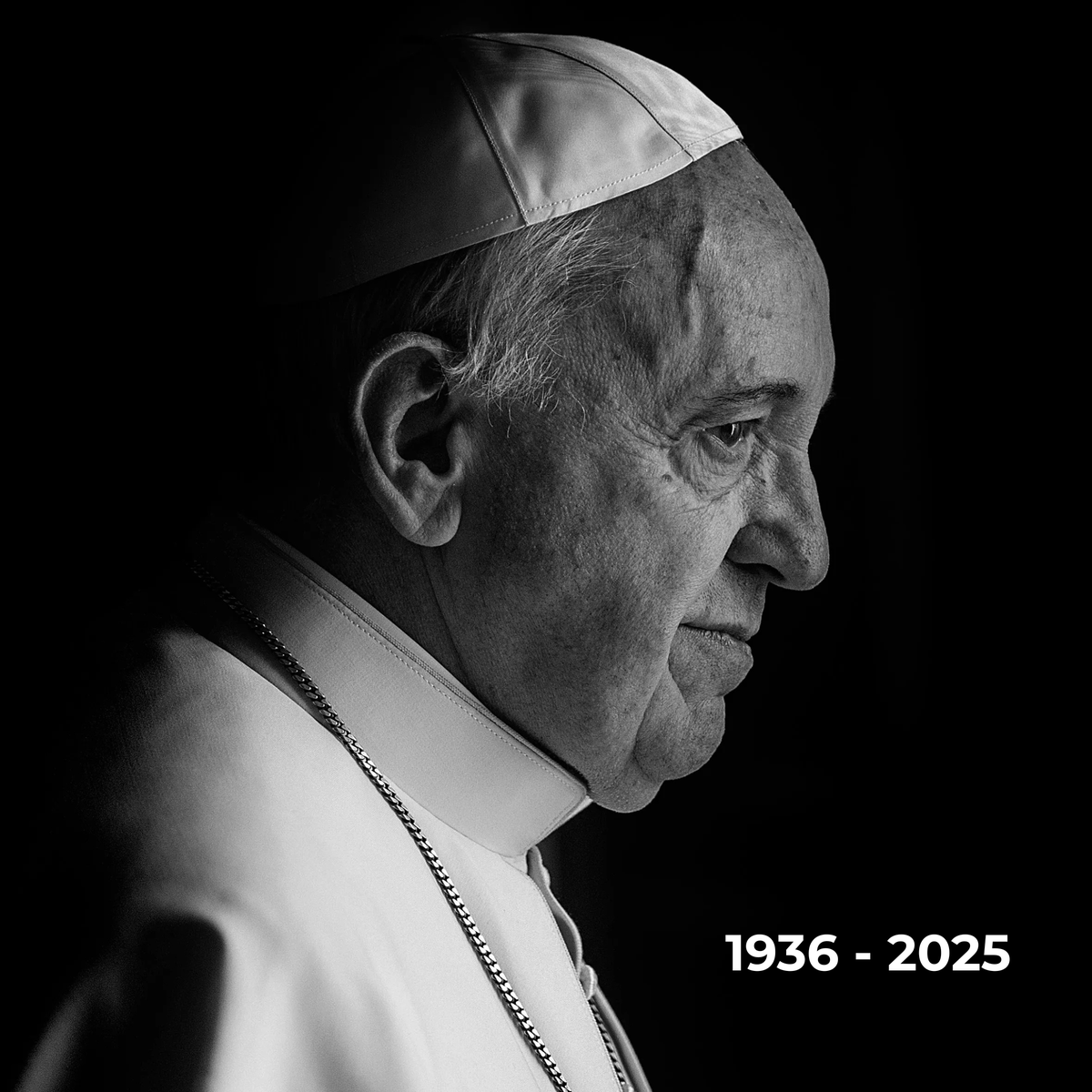 Sinan Wren Foundation tweet media