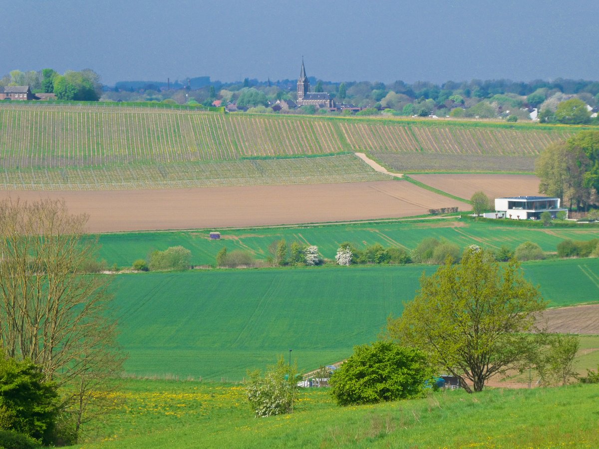 WalkingRoel's tweet photo. Hierbij deel 3 van de #FotoTop12 van mijn #RondjeLimburg-wandeling van gisteren (20-04-2025), van #sGravenvoeren (B) naar #Lanaken (B): https://t.co/3eYLQNk7pL