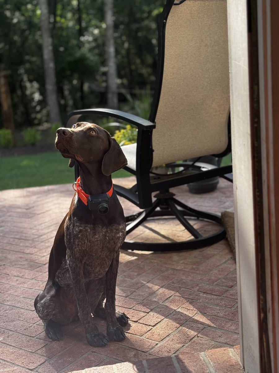 Beth Moore tweet media