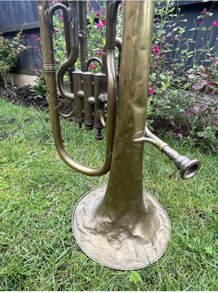 the cabinet of echoes tweet media