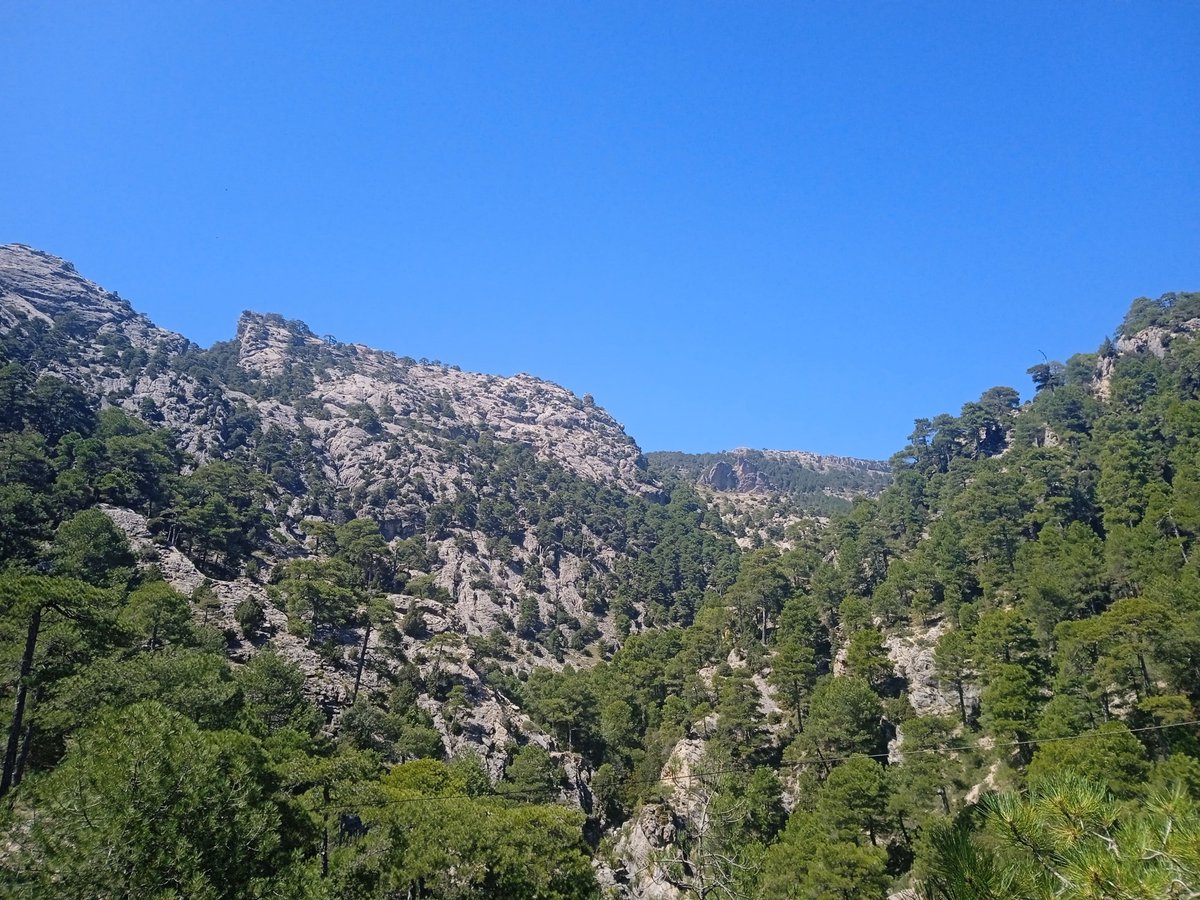 La_Carrasca's tweet image. 🏞¡Ya tenemos lista nuestra próxima ruta montañera!
Esta vez nos desplazamos a Pozo Alcón (Jaén) para recorrer la espectacular sierra del Pozo, antesala de la famosa sierra de Cazorla, pero con paisajes igual de impresionantes y mucho menos transitados.
#LaCarrasca #Lorca
