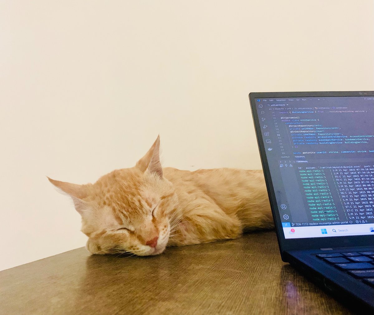 One of us is working hard.. the other is living the dream.👩🏻‍💻