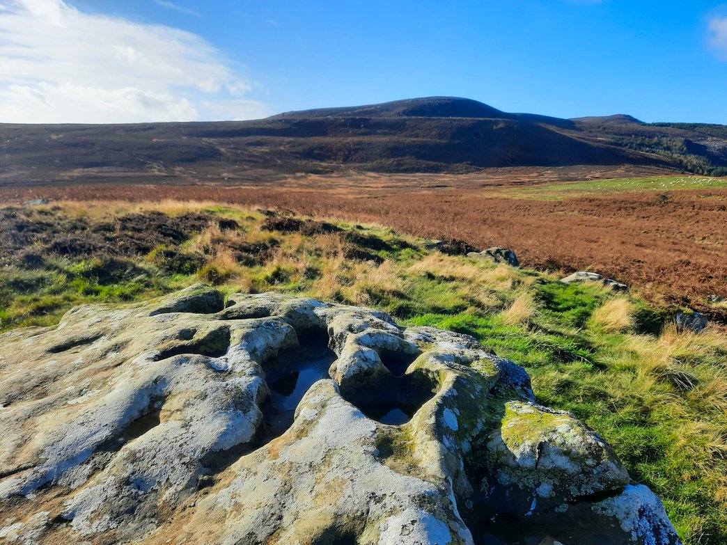 ⏳🌿 The Big Give starts TOMORROW!

We're so excited to kick off our campaign to help secure Rothbury’s wild future – and remember, for one week only, every donation will be doubled! 💚

Stay tuned and get ready to give for nature 👉 nwt.org.uk/news/help-secu…

#TheBigGive