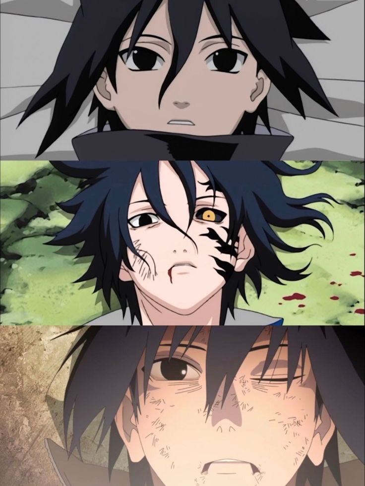 Sasuke Daily tweet media