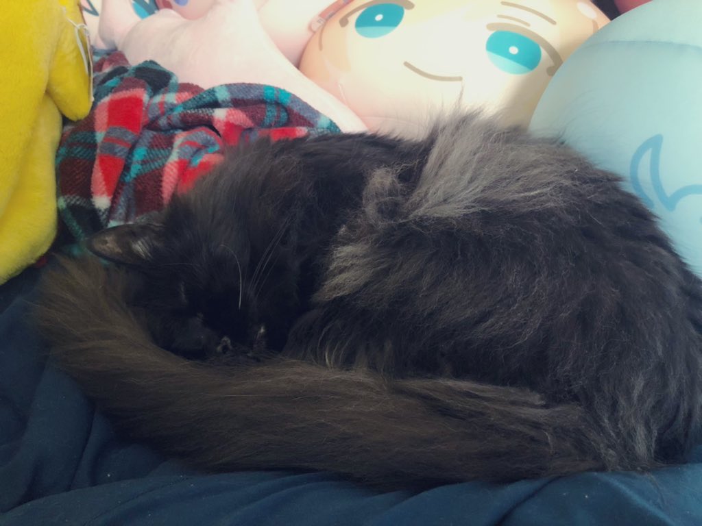 DunkyGrandpa's tweet photo. Hello Monday! We are now down to only 5% of all orders not being fulfilled yet. 

Things slowed down a lot this month as we lost this 18 year old snotball and it really affected all of us. Thank you all for your patience when we went quiet for a while ❤️ https://t.co/aRvg8PtiyS