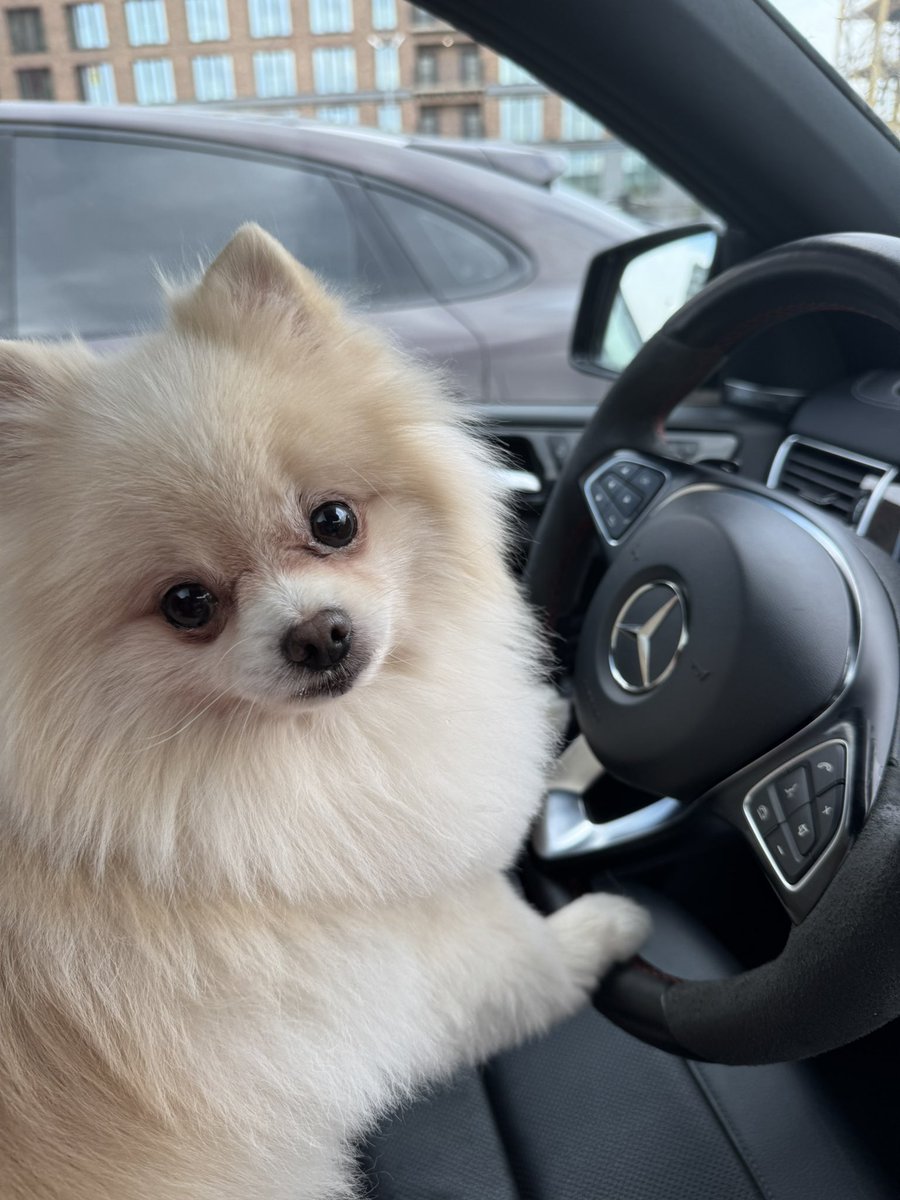 девушка, до города 600, поедем?