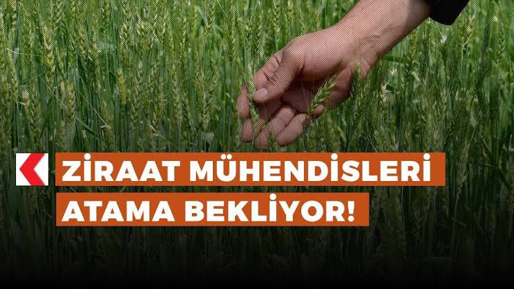 <a href="/ibrahimyumakli/">İbrahim Yumaklı</a>