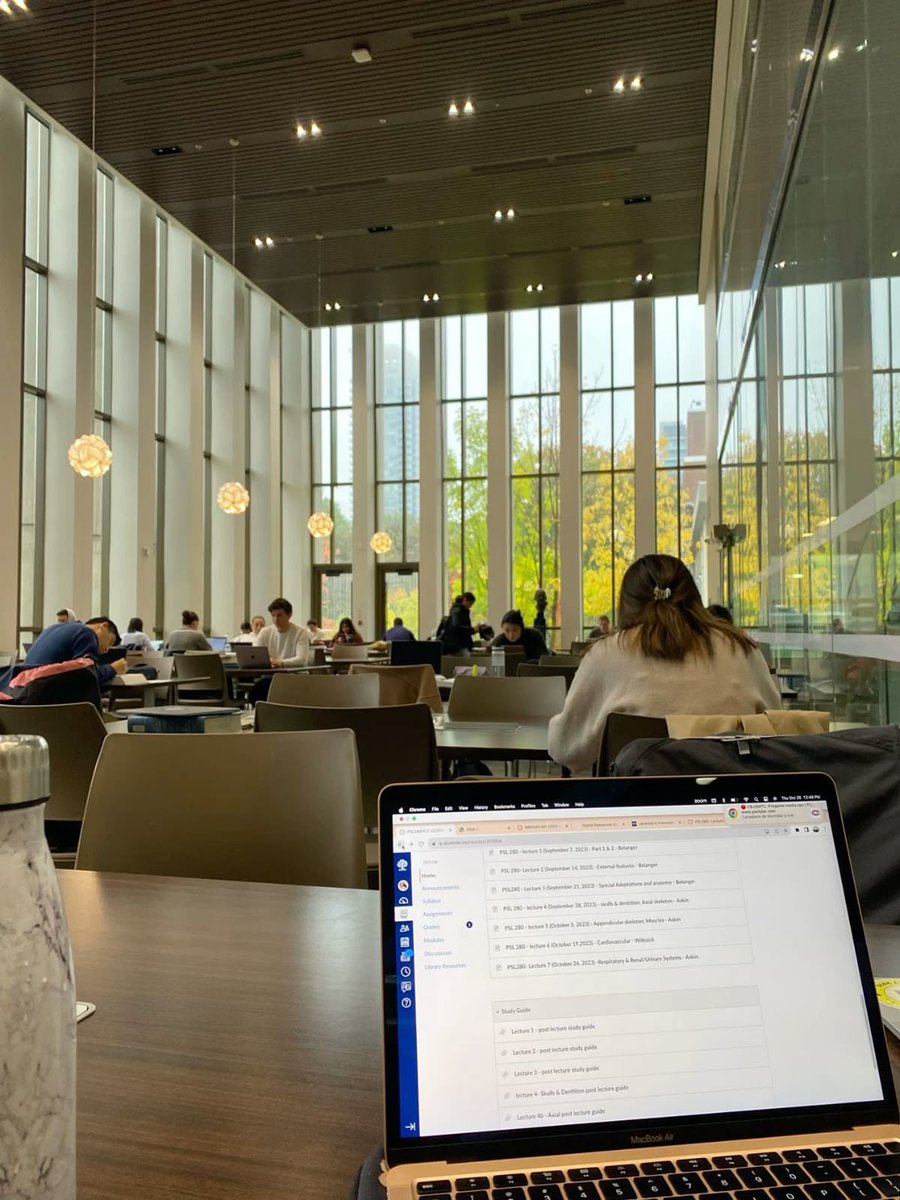 Lila 🌸🎀 tweet media