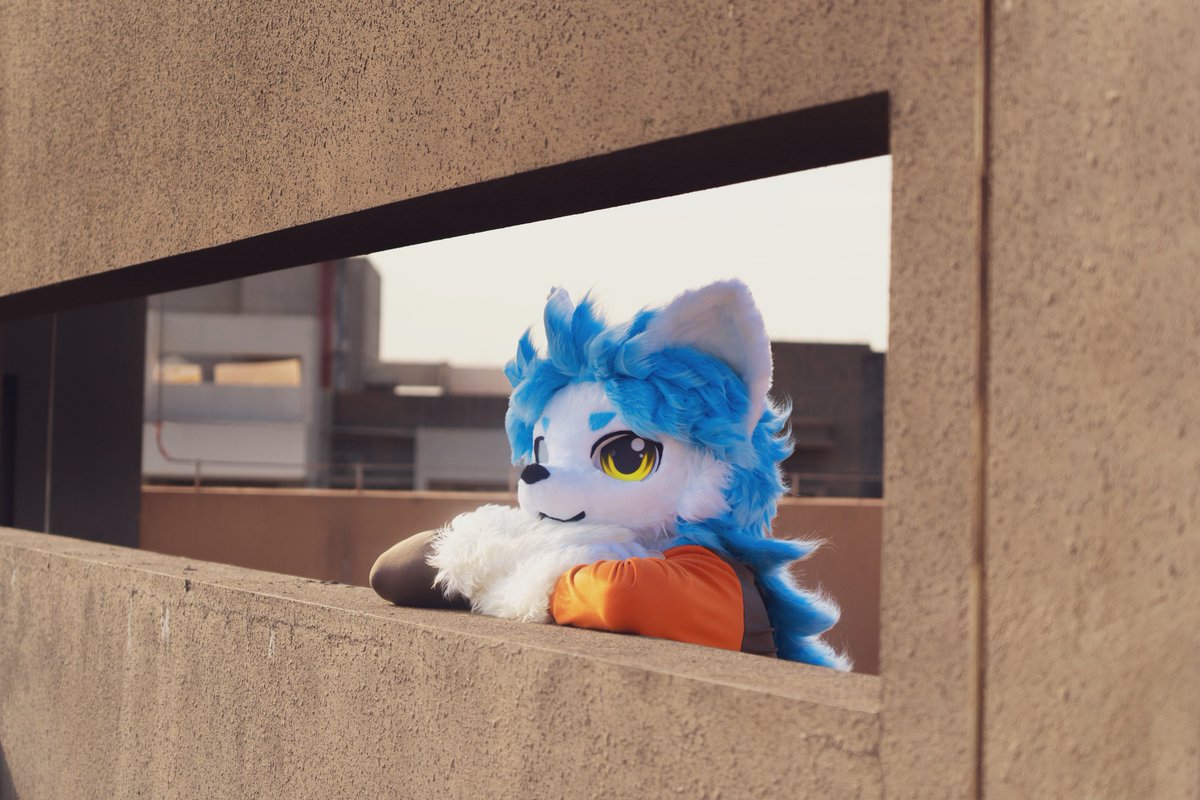 #FursuitEveryday #Fursuit 
#Furry 

Like light in the dust, 
like the rolling of time.

和光同尘，与时舒卷
📷：<a href="/Ian_2468/">伊恩哟</a>