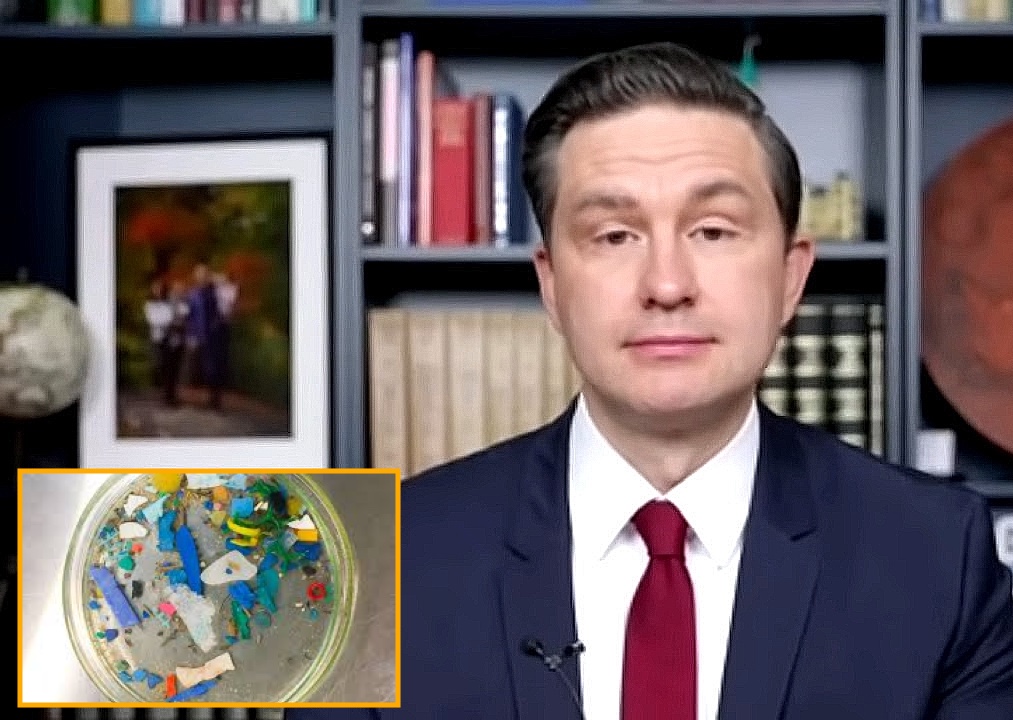 Poilievre promises to make microplastics even bigger

thebeaverton.com/2025/04/poilie… #cdnpoli #election2025