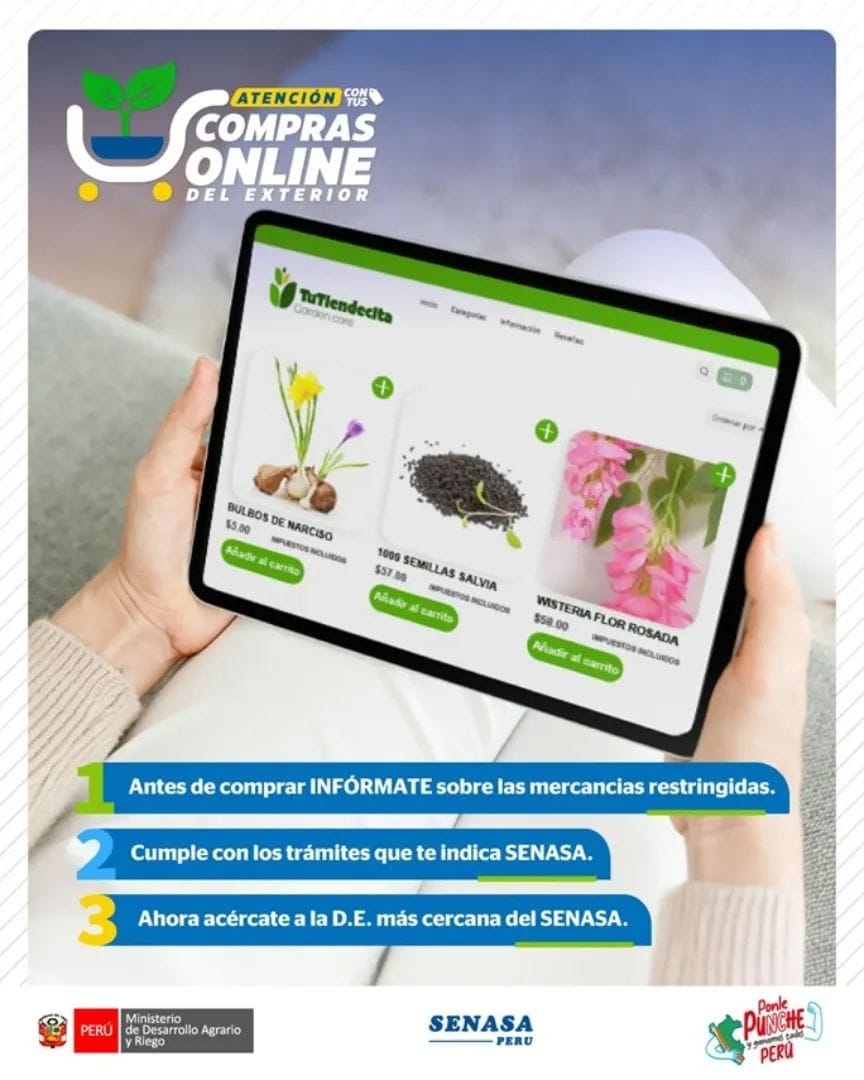 rediagroica's tweet image. 🔵 #ComprasResponsables
¿Traerás semillas o plantas del extranjero? ☝🏼
Primero consulta con 🇵🇪 SENASA, autoridad en sanidad agraria.
🔎 Requisitos aquí 👉 bit.ly/42xsRBd
#SENASA #SanidadAgraria #Importaciones