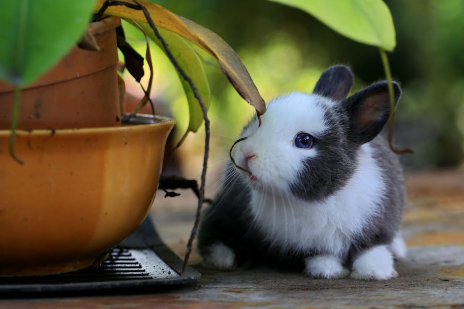 We are closed today. Happy Easter Monday to you 🐰 Due to the statutory holiday, all of our branches are closed today, Mon, April 21. 

Explore what we have online: ow.ly/lrg150InuOU