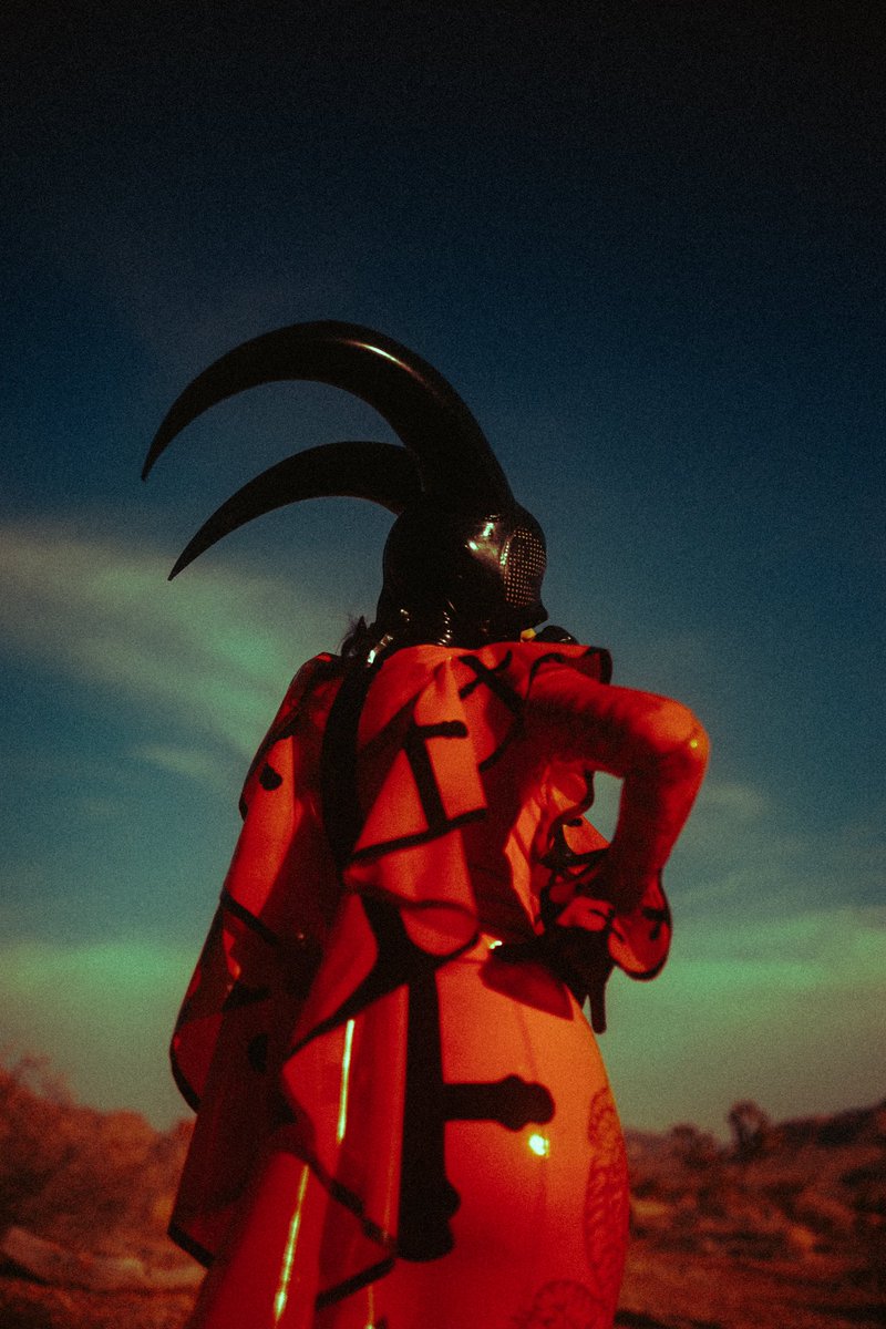 in joshua tree with <a href="/wondrashoots/">Wondra | Photographer</a>
