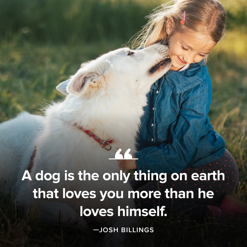 ModernDogMag's tweet photo. Just another reason why dogs are better than people 🐶❤️⁠
⁠
#moderndog #moderndogmagazine #dog #dogs #cute #woof #doglovers #dogloversclub #dogoftheday #pets #quotes https://t.co/sUr4PNeb61