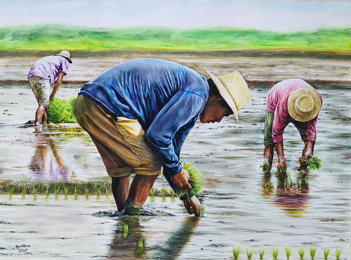 🖌️🎨🖼️ " Planting Rice " Freehand Watercolor Painting 2025 
#art #painting #watercolor #watercolorpainting #drawing #artwork #artist