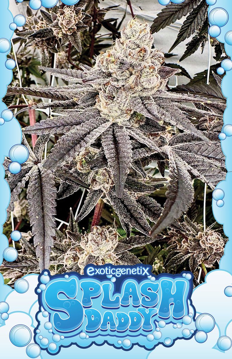 🌊🎩🌊 Happy Monday Everyone!!! I hope you all had a great Weekend! However it’s a brand new week, and with a new week comes some more GIVEAWAYS baby!!! Let’s keep the Dripping Ain’t Eazy Strain Poster Pack Giveaways going!!! This weeks first giveaway will be for the icy as ever