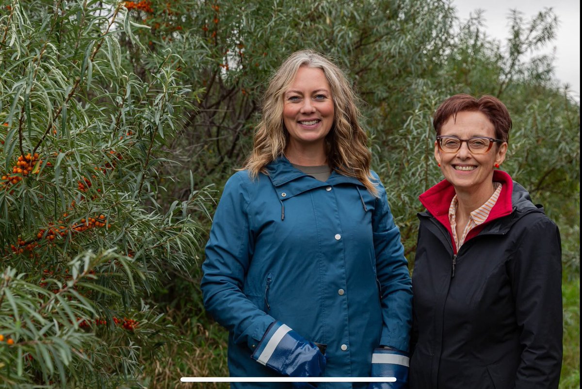 Sea buckthorn is featured on Flat Out Foods Series on CityTV this Wednesday, April 23 at 10:00 p.m. CST.
