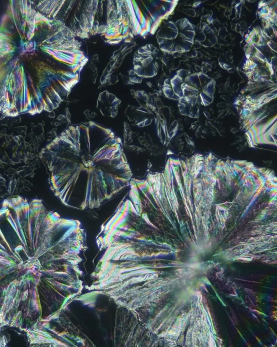 Artist Amy Karle💎 tweet media