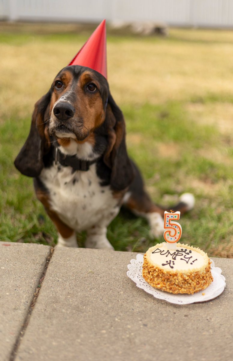 Mr Mammal tweet media