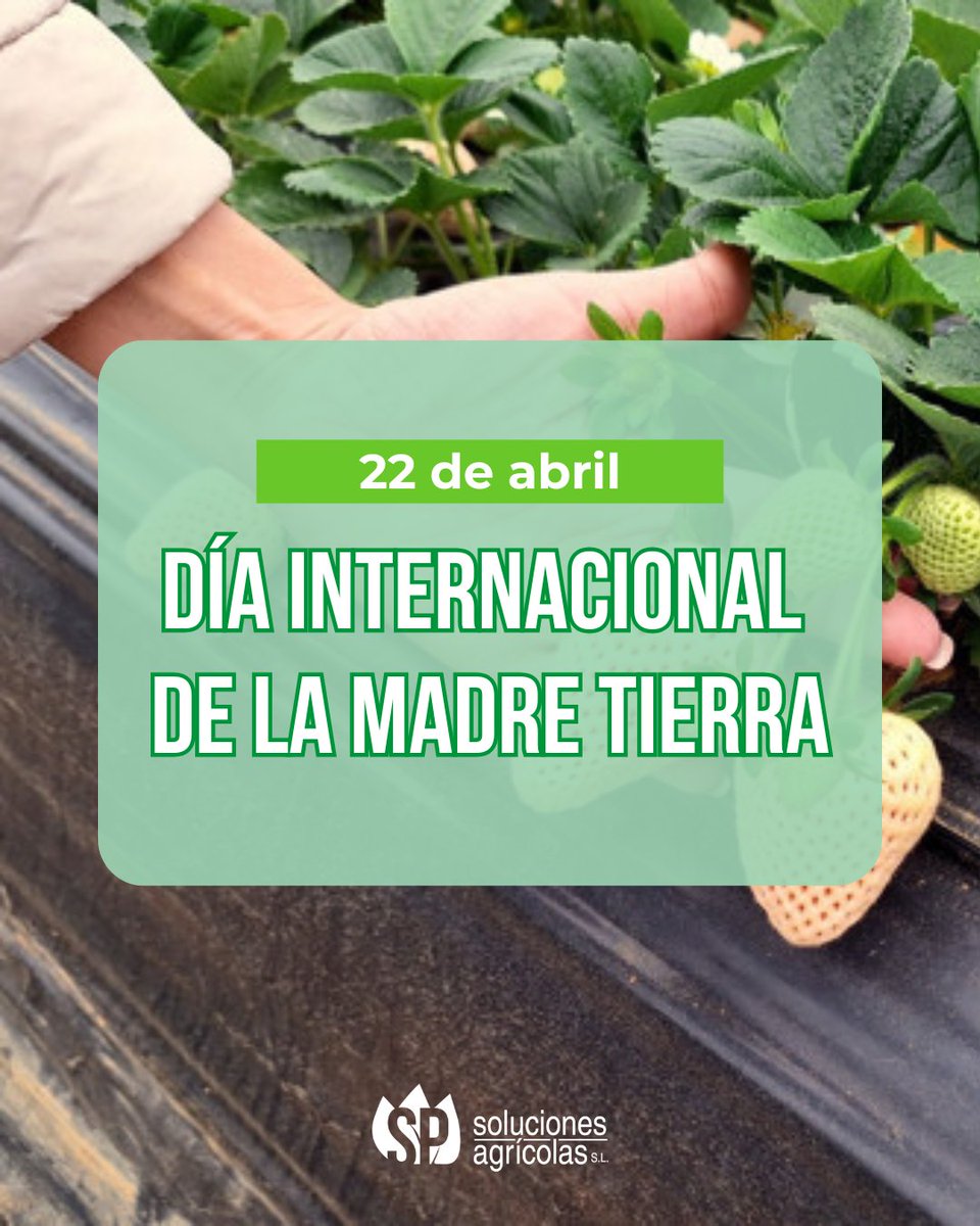Los ecosistemas sustentan todas las formas de vida de la Tierra 🌍. De su salud depende la nuestra. Por eso necesitamos restaurar los dañados. Pero solo lo conseguiremos si todos sumamos. Desde <a href="/SP_Soluciones/">SP Soluciones Agrícolas</a> ponemos nuestro grano de arena apostando por la #agriculturaSostenible.