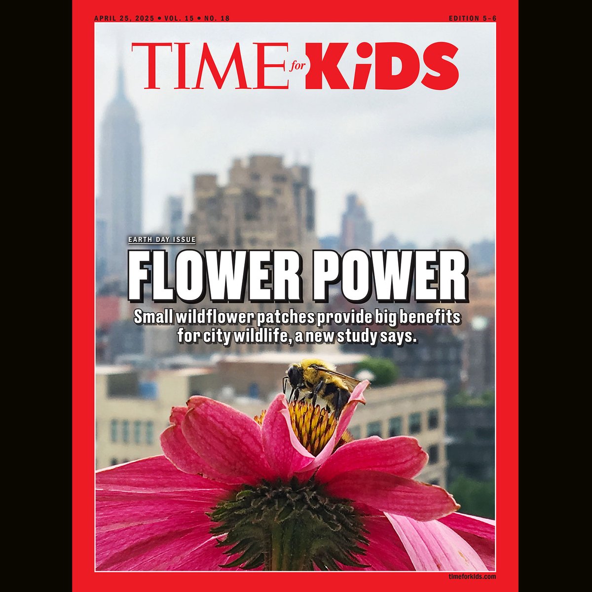 What do blooming wildflowers, soaring bald eagles, and parading swans have in common? They're all included in the special Earth Day issue of TIME for Kids, in classrooms today! 🌼 🦅 🦢 tfk.news/4jgGlIt
