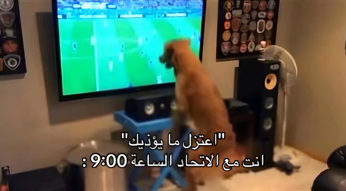 Mood:
