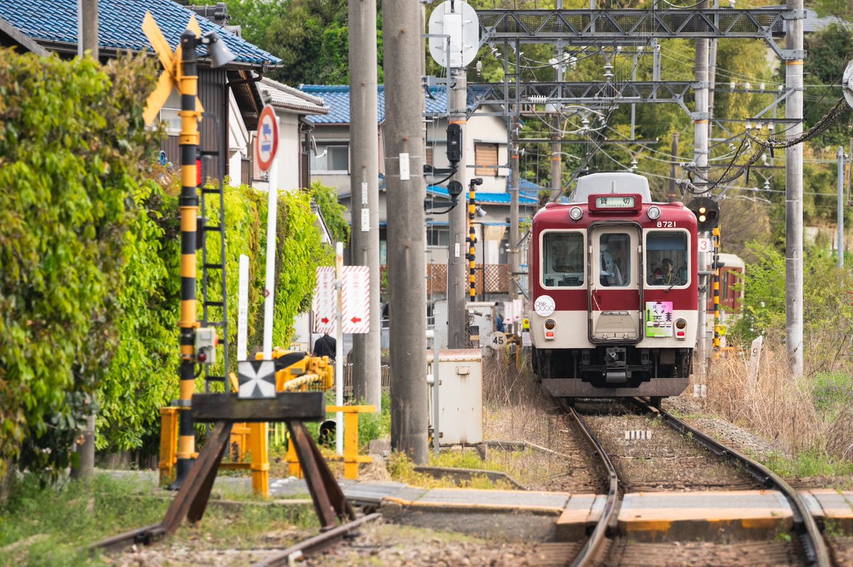 2025.4.20
8000系L81
『みんな大好き8000系活躍の軌跡を巡る旅』

先日はこちらの貸切に参加させて頂きました。
フォトランがメインでしたが、非常に濃い内容で楽しませて頂きました。
主催者様をはじめとした関係者の皆様、楽しい時間を共に過ごさせて頂いた参加者の皆様、ありがとうございました。