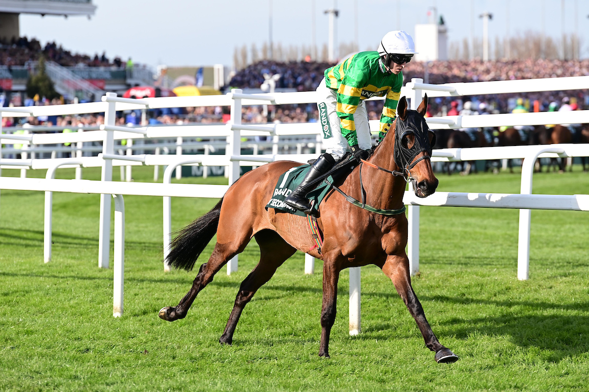 Any Second Now appreciation post ❤️

🥈 Irish Grand National (2025)
🥈 Irish Grand National (2024)
🥈 Grand National (2022) 
🥉 Grand National (2021)