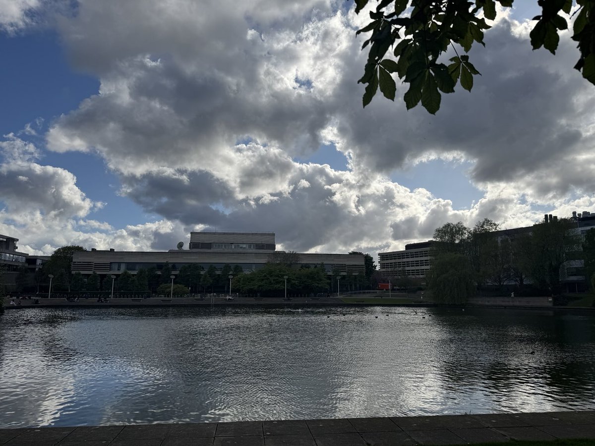 Suzanne Indja tweet media