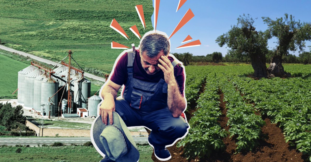 Por otra PAC (@porotrapac) on Twitter photo 🚨 ¡Firma por una #PAC que ponga a las personas y al planeta en el centro del modelo agroalimentario!
<a href="/wemoveEU/">WeMove Europe</a> lanza una petición para exigir precios justos, apoyo a explotaciones familiares y alimentos sostenibles para todas.
✍️ Súmate: action.wemove.eu/sign/2025-04-c… 🚨 ¡Firma por una #PAC que ponga a las personas y al planeta en el centro del modelo agroalimentario!
<a href="/wemoveEU/">WeMove Europe</a> lanza una petición para exigir precios justos, apoyo a explotaciones familiares y alimentos sostenibles para todas.
✍️ Súmate: action.wemove.eu/sign/2025-04-c…