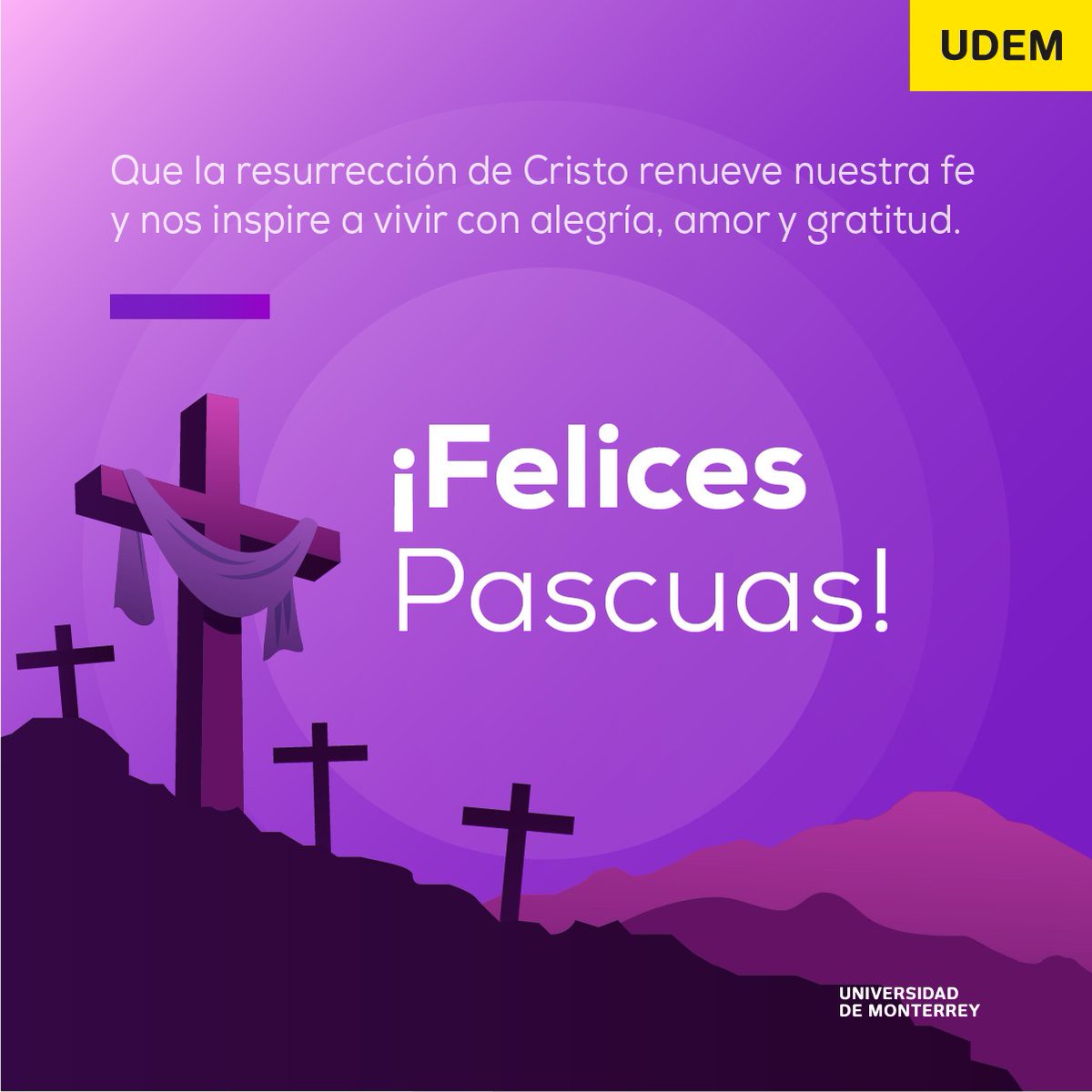 Mario H. Páez (@mpaez50) on Twitter photo 