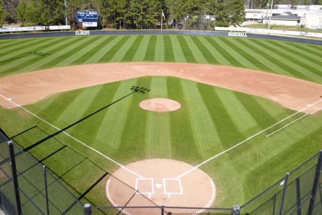 Elbert County Diamond Devil Baseball tweet media