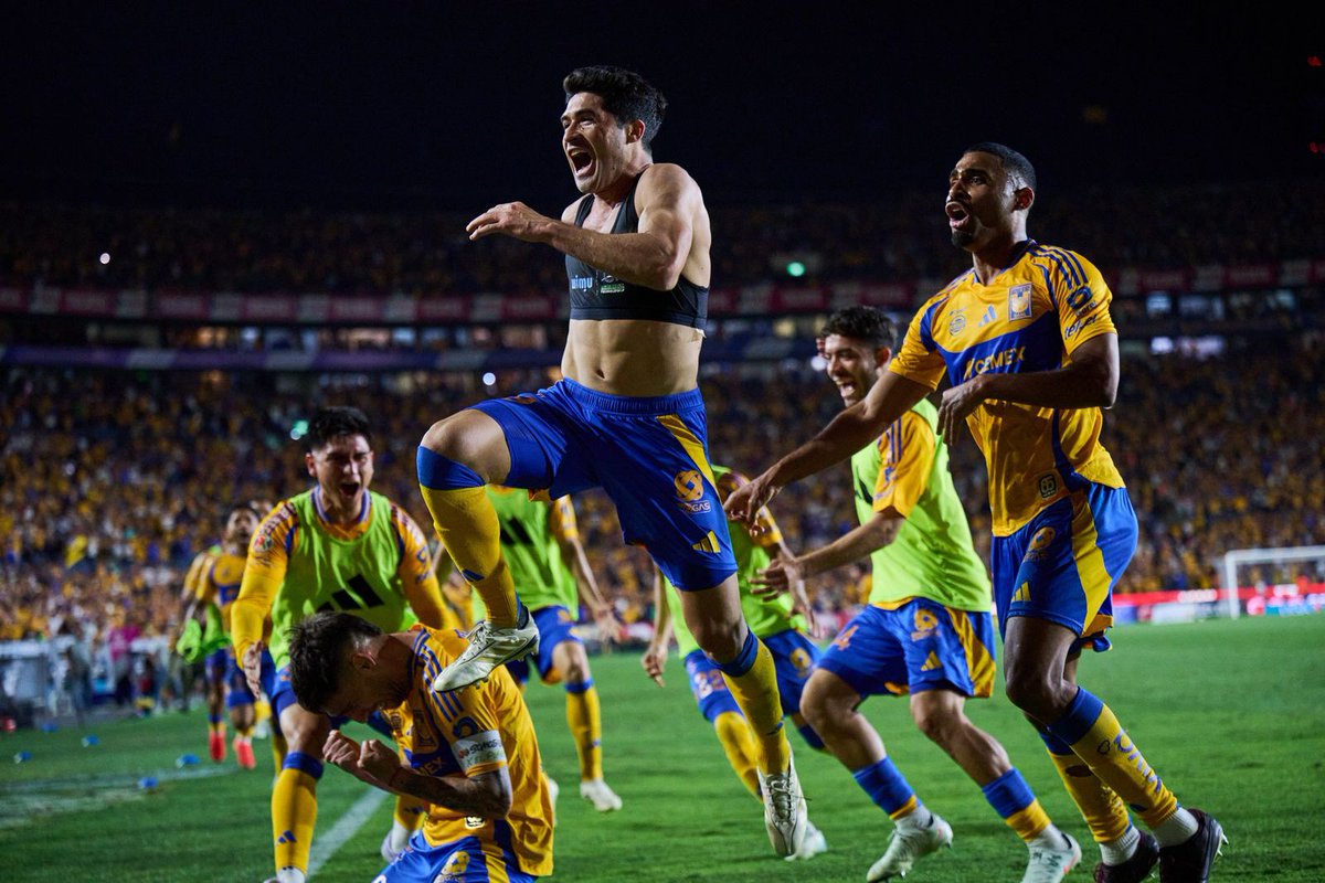 Antonio_Rosique's tweet image. 🐯Tigres ha clasificado a 2️⃣1️⃣ fases finales de forma consecutiva en torneos cortos 🤯

A14 ➤ 🥈
C15 ➤ 4tos
A15 ➤ 🏆
C16 ➤ 4tos
A16 ➤ 🏆
C17 ➤ 🥈
A17 ➤ 🏆
C18 ➤ 4tos
A18 ➤ 4tos
C19 ➤ 🏆
A19 ➤ 4tos
A20 ➤ 4tos
C21 ➤ Repechaje
A21 ➤ Semis
C22 ➤ Semis
A22 ➤ 4tos
C23…