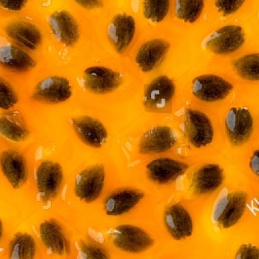 Alguém entende qual a necessidade do mal de hoje?