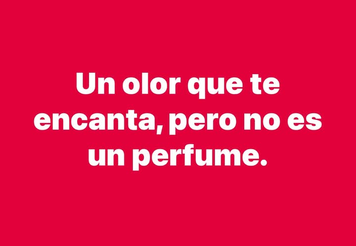 Maria Antonieta López 🪄 tweet media