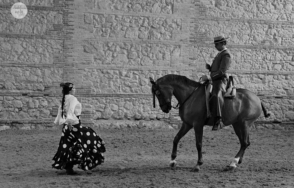 🌟 Vive una experiencia única en #Córdoba con el espectacular "Pasión y Duende del Caballo Andaluz" 🐎✨. Descubre la magia de los caballos andaluces y #CórdobaEcuestre #CaballoAndaluz #Turismo <a href="/CordobaEcuestre/">Córdoba Ecuestre</a> #Andalucía
🔗bit.ly/42vG8de
