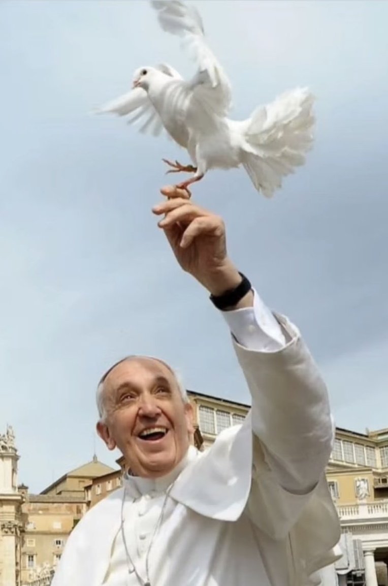 Ateus estão defendendo o legado do Papa enquanto católicos de extrema direita estão comemorando a morte dele.